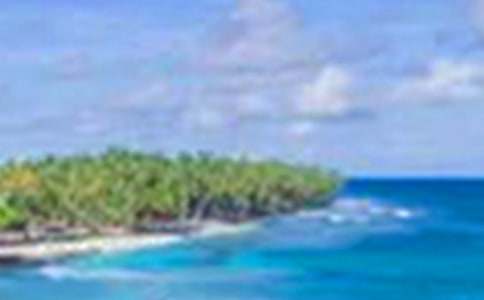 �茑�P�ݵ���������