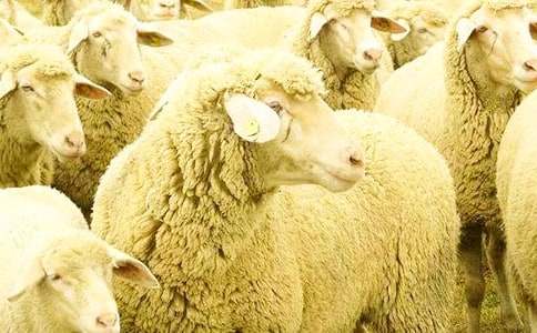 �w����յľd��ͯԒ���£����x10����