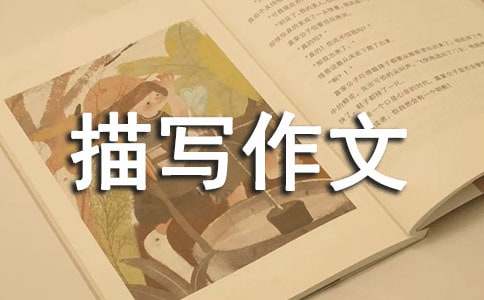 ���：���茑����600�֣����x24ƪ��