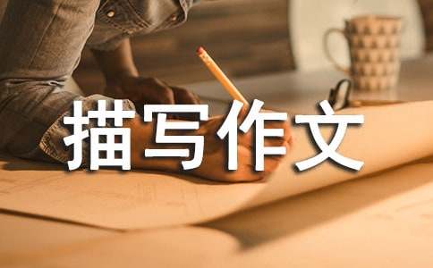 ��������茑���ģ�ͨ��26ƪ��