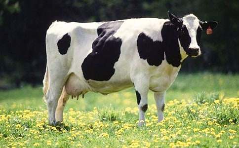 ��ţ����400��8ƪ