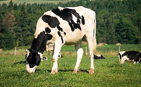 ��������ţ�m������