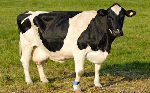 ��ţ����4ƪ