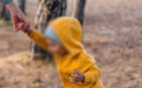 ꖹ��к����ģ�ͨ��24ƪ��