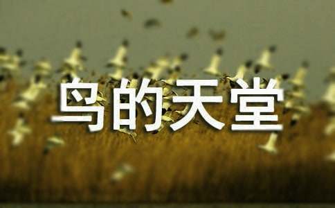 【熱門】鳥的天堂作文
