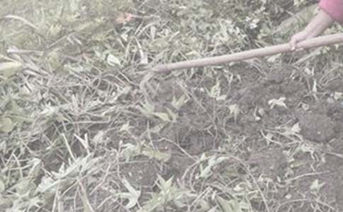 �������r��Ӻ��󣨾��x30ƪ��