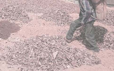 С�W���꼉�Ե�һ�θ��r�����ģ�ͨ��36ƪ��