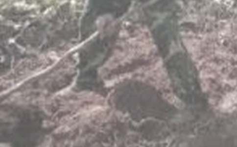 春耕助農活動簡報范文(通用22篇)