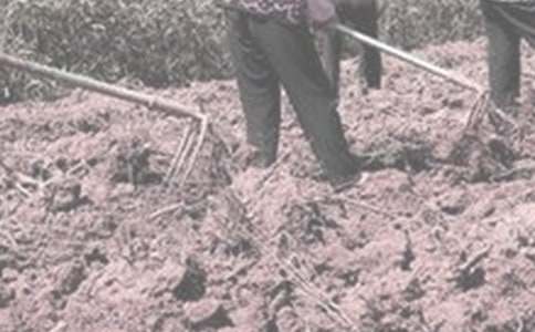 �W�r�������