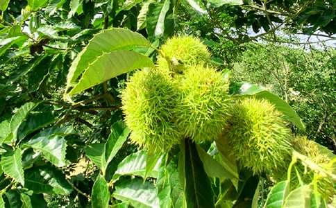 書香飄滿農家樂小學作文