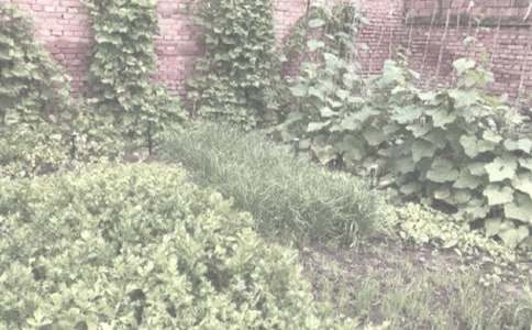 �r������I�u��ͬ