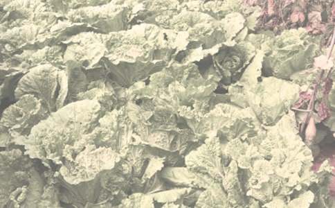 �r����N��ͬ���\7ƪ