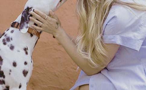 女性褒義詞有哪些