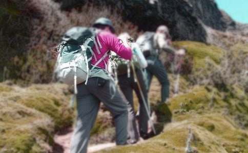 �P����ɽ��������