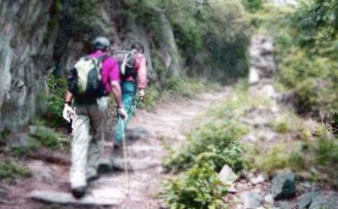 ��ɽ�������������ģ�ͨ��40ƪ��