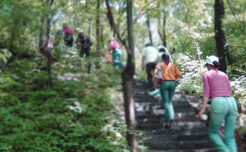 �ְ֎���ȥ��ɽС�W����3ƪ