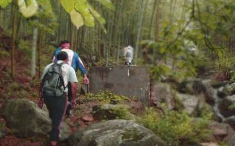 ��ɽ���v���ģ����x35ƪ��