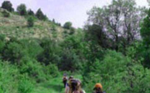 ��ɽ�ă�������(4ƪ)