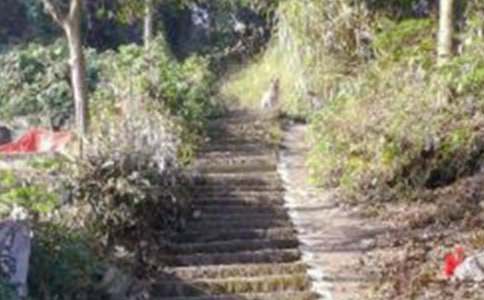 ���������y����һ����ɽ