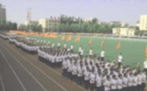 �ܲ�����600����ƪ