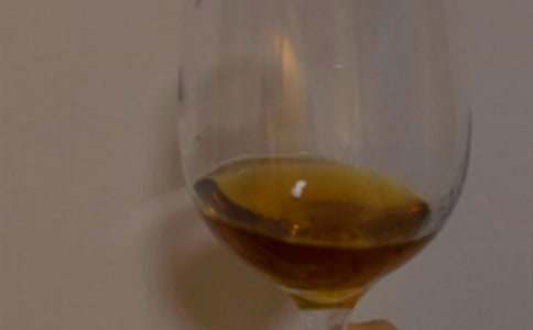 制作葡萄酒作文