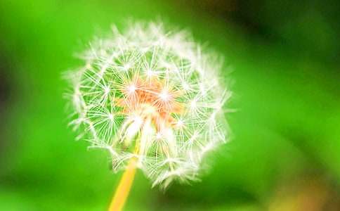 �ѹ�Ӣ��������600��