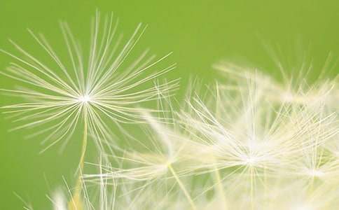 �������ģ��ѹ�Ӣ�����w