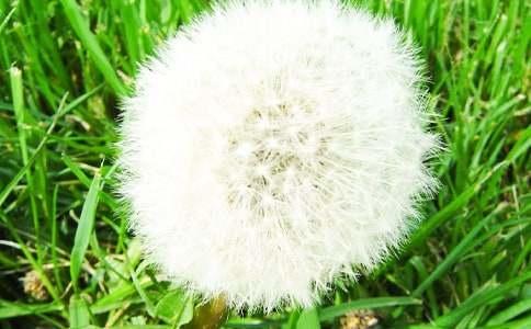 �w����ѹ�Ӣ����800��