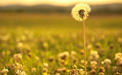 �ѹ�Ӣ�Đ�������