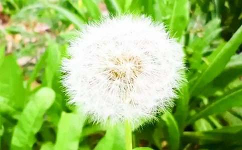 �ѹ�Ӣʢ�_�r��������