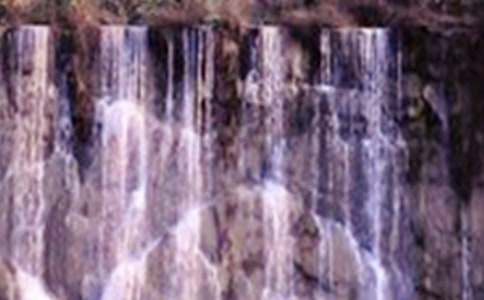 �����ٲ�����