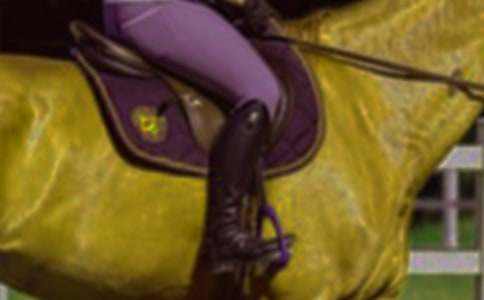 �T�R�ĳ�һ����650��