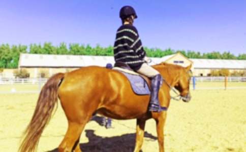 ���ɹ��T�R�����ģ����x12ƪ��