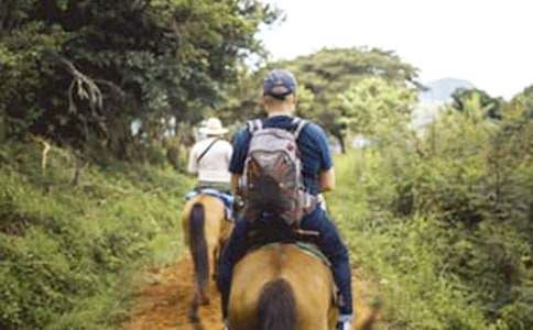 ��ԭ֮�T�R����