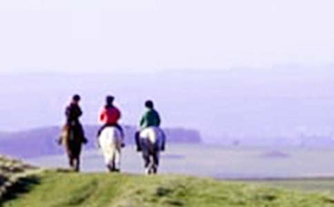 �T�R����600���\��8ƪ