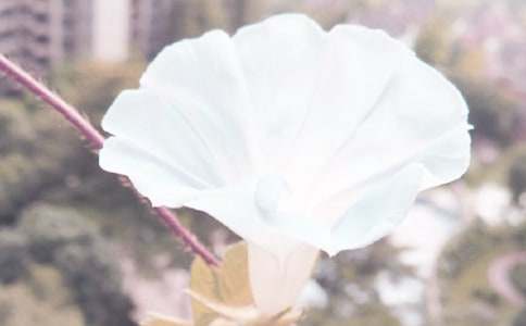 �^�젿ţ������(����15ƪ)