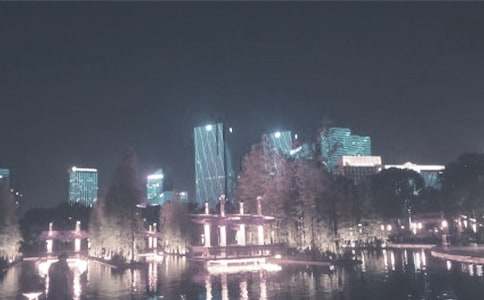 夏夜千燈湖五年級作文