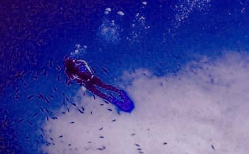 ��ˮ����