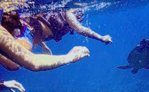 ��ˮ������600������