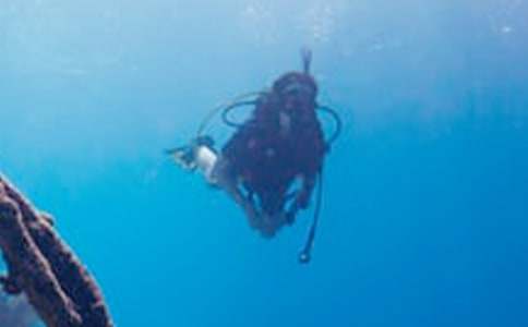 �R������ˮ����