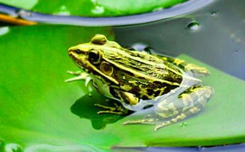 �P�����ܺ�Λρ����3ƪ