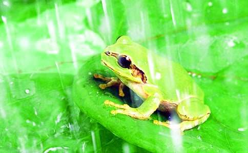 ���P�����ܵ�����Ԣ�Թ���