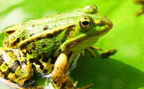 ͯԒ���¾��x���������ğ���