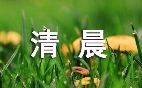 清晨樹影上的陽光作文