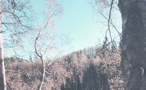 �＾����֮�I���M������450��