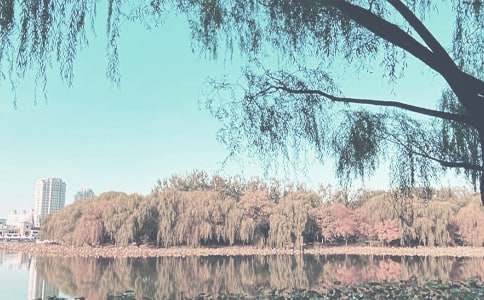 �＾���V�Z