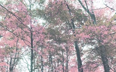 �＾�������������