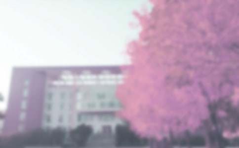 ���P�＾����3ƪ