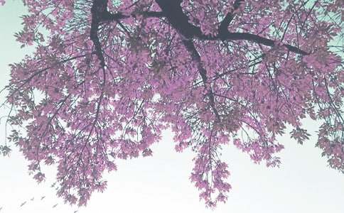 �茑�＾�������~�Z