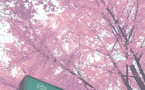 秋季考察之淚流滿面作文